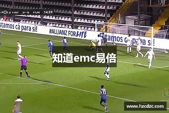 知道emc易倍